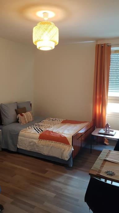 Appartement Studio Orleans Theatre Extérieur photo